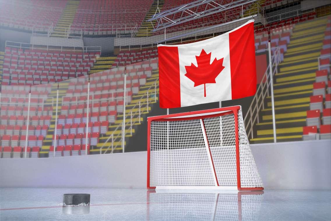 Hockey net. Photo by Derek Brumby, iStock/Getty Images Plus. 