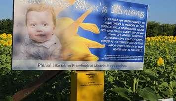 A sign and donation box for Miracle Max's Minions. Image courtesy of Sipkens Nurseries via. Facebook.