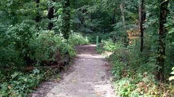 The Rotary Eco-Trail at O'Neill's Nature Preserve in Chatham. (Photo by Ricardo Veneza)