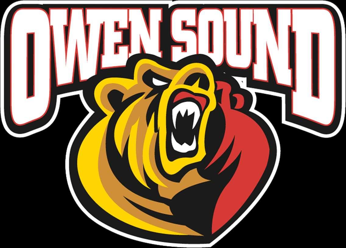 (Courtesy of Greg Hoddinott
Manager, Marketing & Communications
Owen Sound Attack)