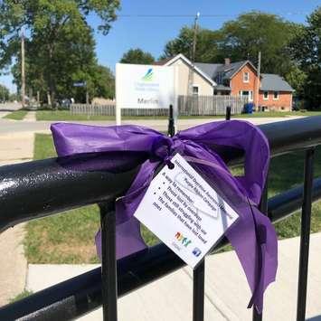 Overdose Awareness ribbon. (Photo courtesy of the Chatham-Kent Drug Awareness Council)