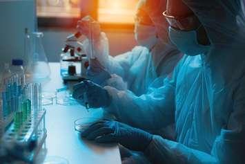 File photo courtesy of © Can Stock Photo / alphaspirit
