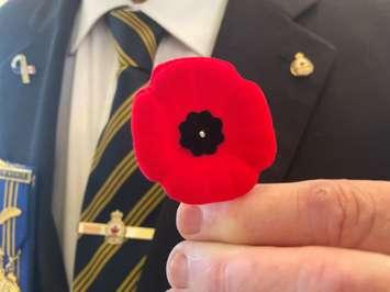 Biodegradable Poppy. Photo courtesy of the Royal Canadian Legion. 