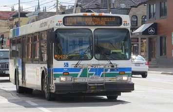A London Transit bus on Richmond Street. (File photo by Miranda Chant, Blackburn News)