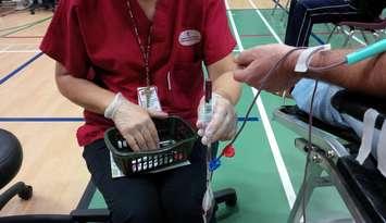 A donor gives blood at a clinic. Blackburn News file photo.