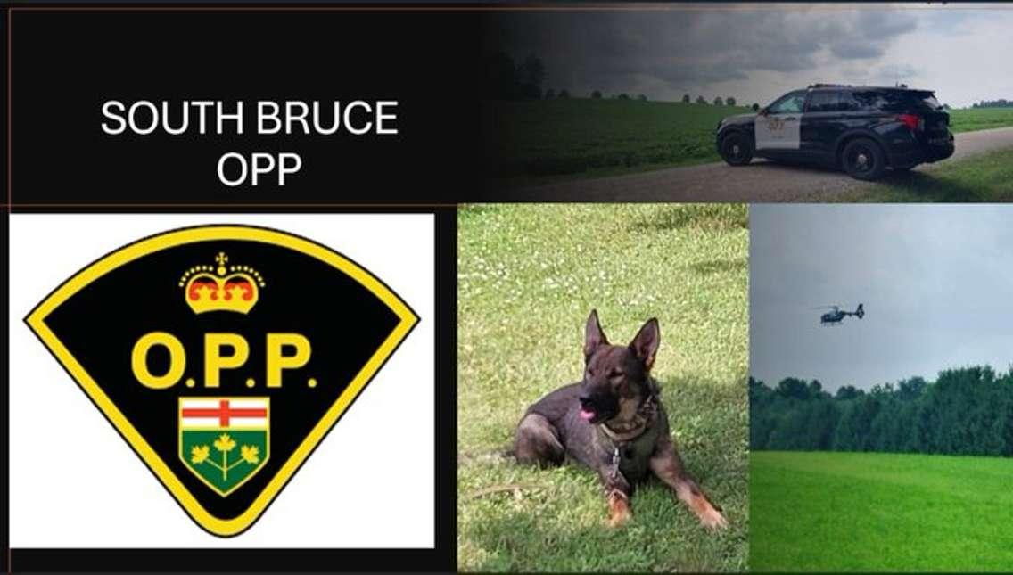 South Bruce OPP search for suspect in Culross Township.  Photo from South Bruce OPP on X.