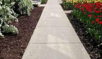 A sidewalk. (Photo by annault/iStock / Getty Images Plus)