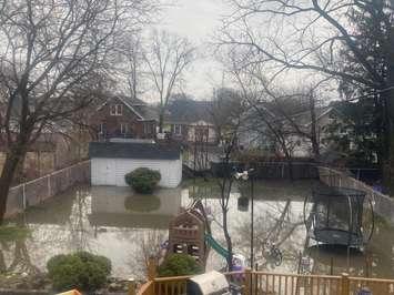 Backyard flooding in Sarnia, April 3, 2025. Photo by Nathalie Burr.