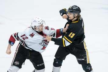 Sting defenceman Lukas Fischer squares off with Guelph's Ryan McGuire in Game 2 of the opening round playoff matchup. 2 April 2023. (Metcalfe Photography)