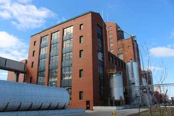 Hiram Walker & Sons distillery on Riverside Dr. in Windsor, March 22, 2017. (Photo by Mike Vlasveld)