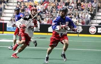 Lion's Head's Rob Hellyer keeps possession during a National Lacrosse League game between his Toronto Rock and the Calgary Roughnecks on New Year's Eve, 2014. (Photo from Toronto Rock)
