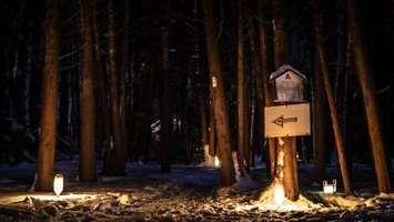 A night time look at the Maitland Woods Trail in Goderich (Photo by Bob Montgomery)
