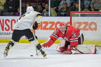 Sarnia Sting vs Niagara IceDogs October 29, 2023. Photo by Metcalfe Photography. 
