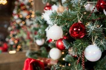 Christmas tree (Photo courtesy of iStock / Getty Images Plus)