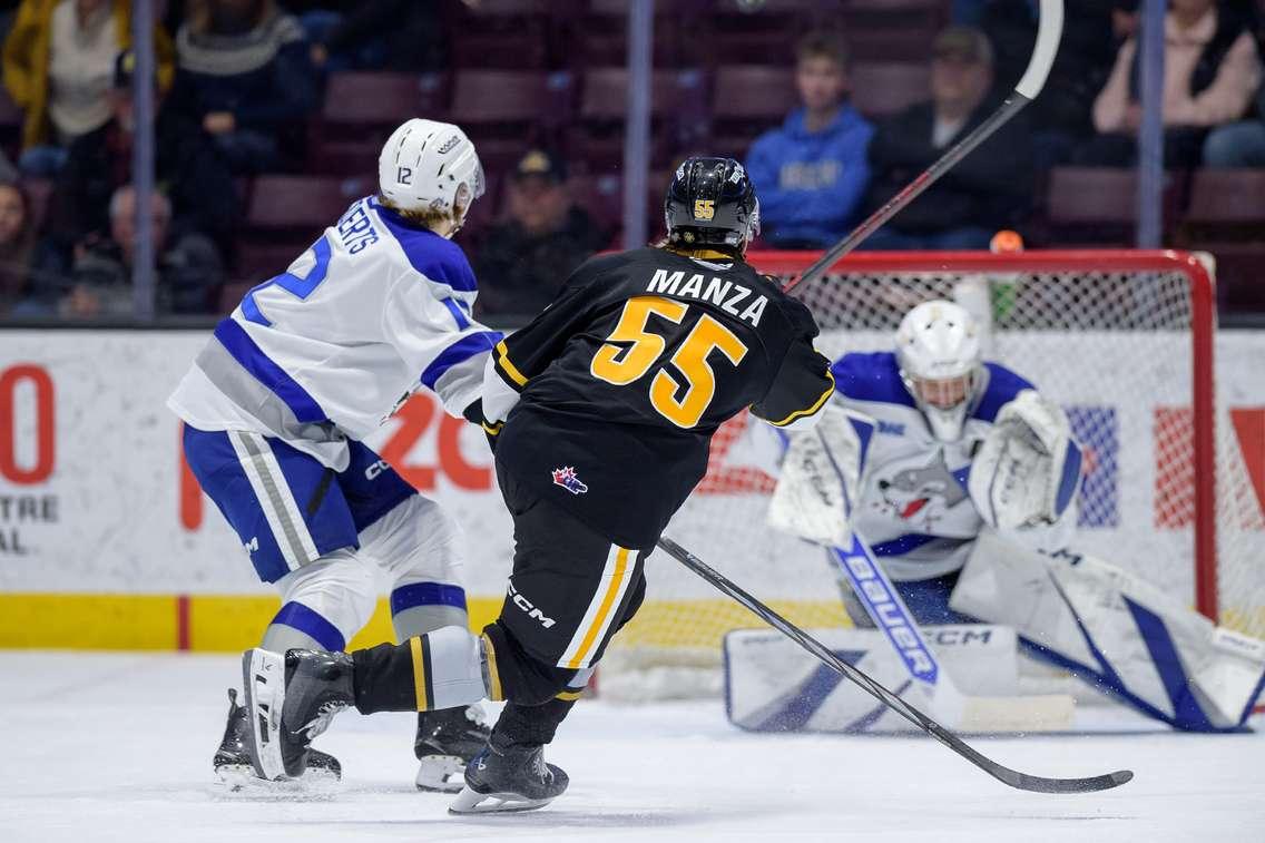 Sarnia Sting home to Sudbury, Jan 18, 2025. Photo by Metcalfe Photography. 