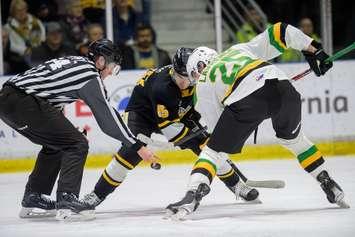London Knights at Sarnia Sting January 10, 2024.  Photo by Metcalfe Photography. 