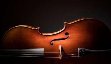 Fiddle. Getty Images.  Photo by Brian A Jackson. License type:Royalty-free Collection:iStock / Getty Images Plus
