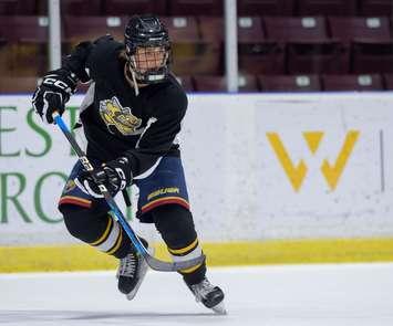 Matthew Andersen (Image courtesy of the Sarnia Sting)