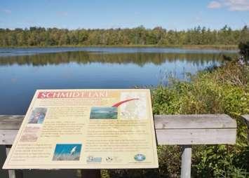 Greenock Swamp - Schmidt Lake (Saugeen Conservation photo)
