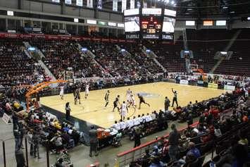 Windsor Express vs Raptors 905 exhibition game at the WFCU Centre on November 5, 2015. (Photo by Ricardo Veneza)