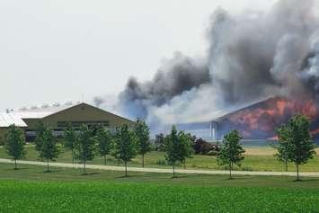 Cranbrook fire