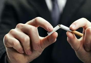 File photo courtesy of © Can Stock Photo / stokkete