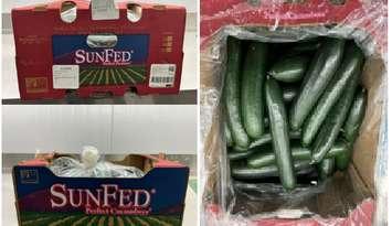 Cucumbers (Images from Sunfed Produce)