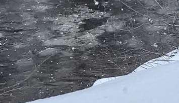 Ice on the Saugeen River near Countess St. South in Durham (Photo by Adam Bell)