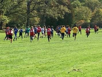 Sarnia public school cross country meet - Oct. 15/19 (Photo courtesy of Marcus Ray)