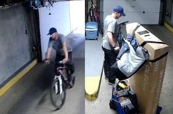 Provincial police look to identify theft suspect. July 9, 2024. (Photo courtesy of Lambton OPP)