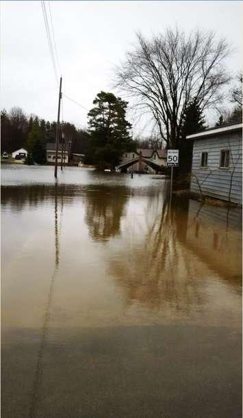 A flooded section of Williamsford April 1, 2016. (Picture courtesy of OPP via Twitter)
