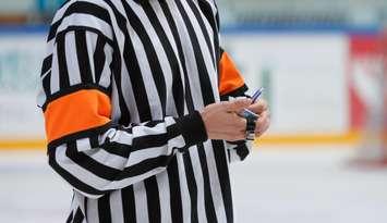 Hockey referee. (Marko Hannula / iStock / Getty Images Plus)