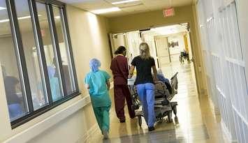 Nurses. File photo courtesy of © Can Stock Photo / jcpjr