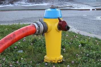 A fire hydrant.  (Photo by Adelle Loiselle)