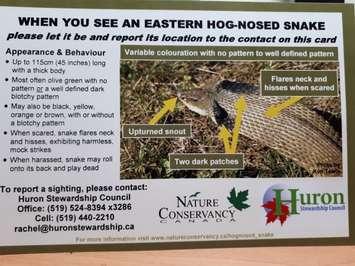 Information about the  Eastern Hog-Nosed Snake. (Photo by Bob Montgomery)