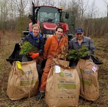 (Left to right) Nathalie Lennox, seasonal staff;  Aaran Swayze, Forest Technician;  Brian Oberle, seasonal staff (photo courtesy of Saugeen Conservation)