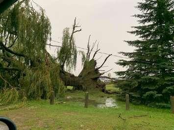 Damage from a storm on September 7, 2021. (Courtesy of Saugeen Shores Police Service via Facebook)