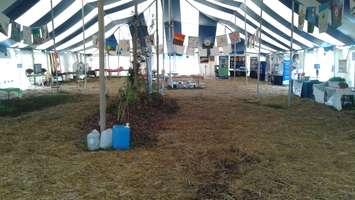 Most areas around the IPM have had straw or wood shavings dropped on top to provide a pathway for those attending.