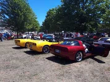 A lineup of corvettes at this year's annual Bayfield Vette Fest. (Photo by Bob Montgomery)