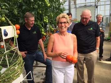 Ontario Premier Kathleen Wynne tours Truly Green Farms in Chatham. July 27, 2017. (Photo by Paul Pedro)
