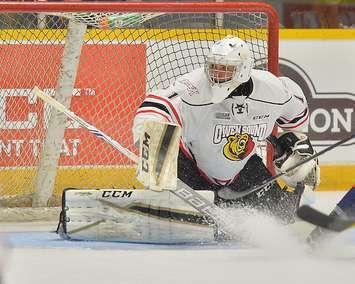 Mack Guzda of the Owen Sound Attack searches for the puck. Photo by Terry Wilson / OHL Images.