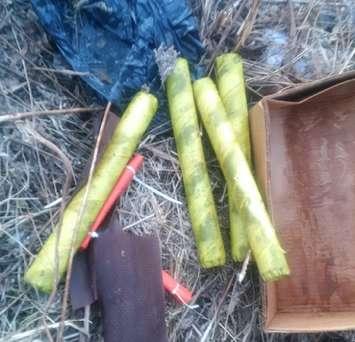 Dynamite sticks found in cardboard box in vacant lot in Elora Sunday, April 1st, 2018 (Wellington County OPP photo)