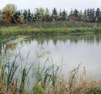 ABCA wetlands project (Photo by Bob Montgomery)