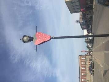 A lamppost in downtown Lucknow. 
Photo by Marty Thompson.