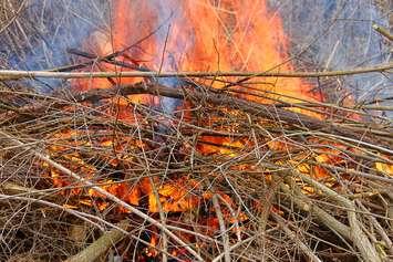 Small brush fire. © Can Stock Photo / Wirepec 