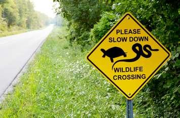 Turtle crossing sign. Photo courtesy of the Ausable Bayfield Conservation Authority.