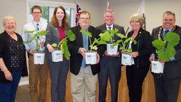 Wellington North council with pumpkin plants (L-R) Bonnie McDougall, CAO Mike Givens, Councillor Lisa Hern, Councillor Dan Yake, Councillor Steve McCabe, Councillor Sherry Burke and Mayor Andy Lennox. (Campbell Cork photo)