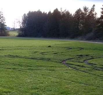 Soccer field damaged at community centre in Tara. (Picture via Twitter)