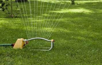 Lawn sprinkler. © Can Stock Photo / rookman48