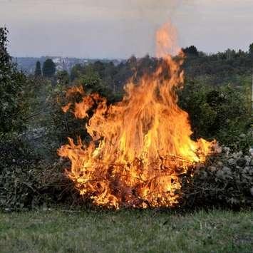 Open air burn. © Can Stock Photo / Nikolafotons